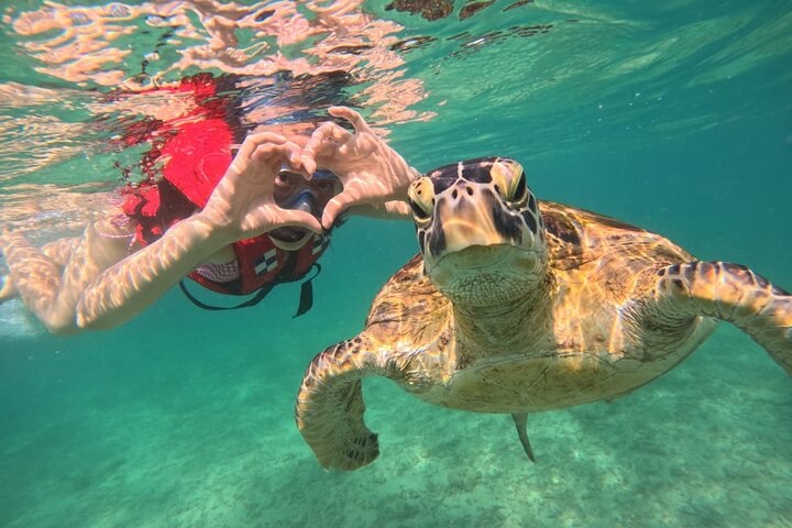A snorkeller making a heart shape beside a sea turtle near Mirissa